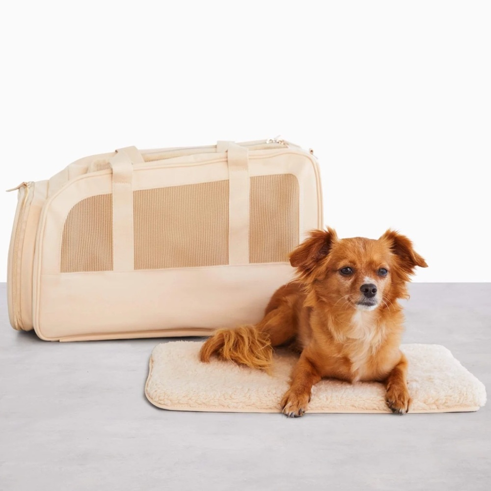 NWT Beis- The Regulation Pet Carry-On Bag